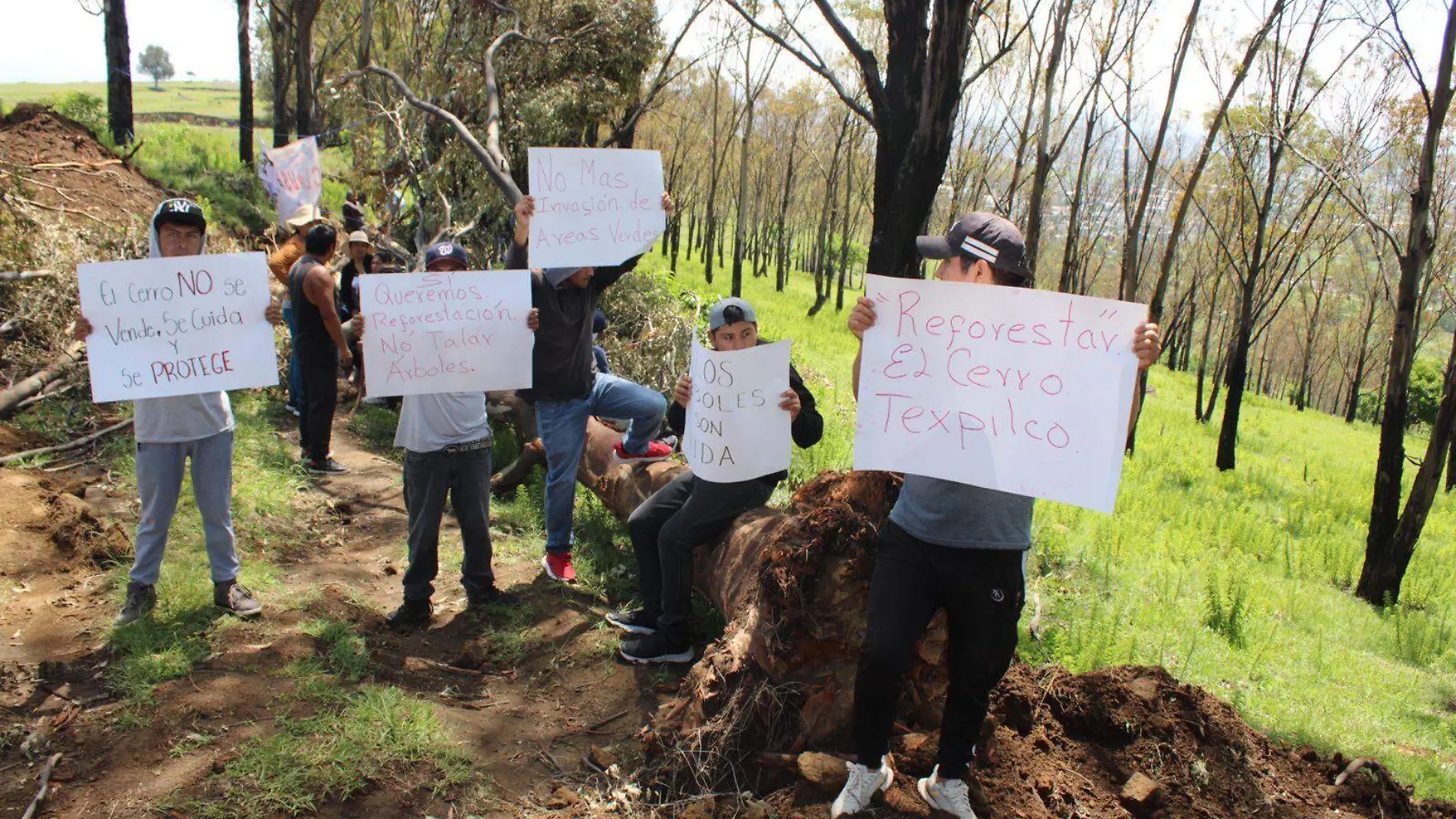 Pobladores de Ocoyucan exhiben daño por tala ilegal en la zona